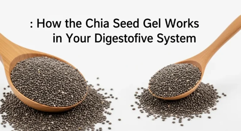 Chia Seed Gel Works in Your Digestive System